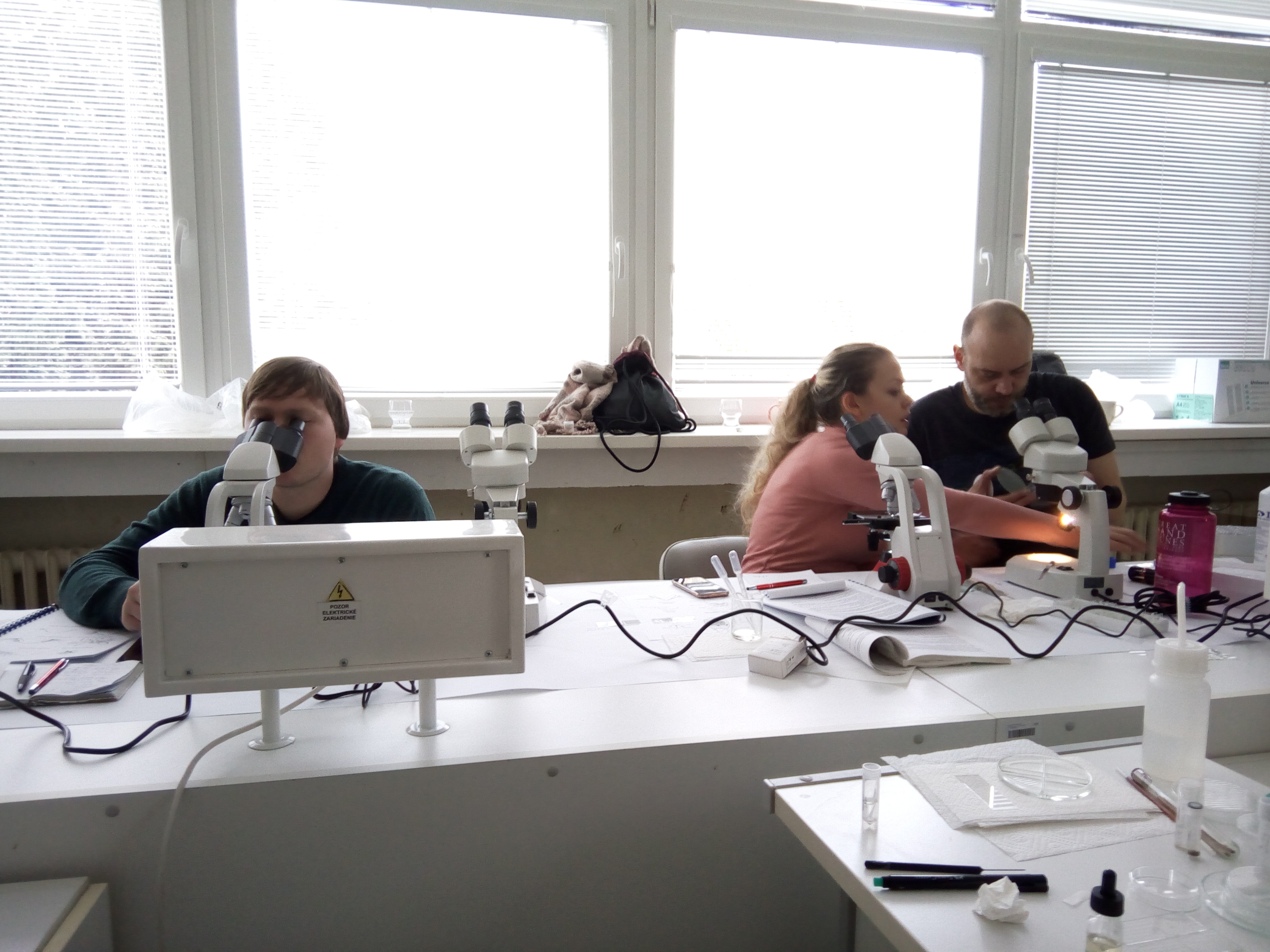The 3rd European Workshop on Chironomidae Identification Methodology